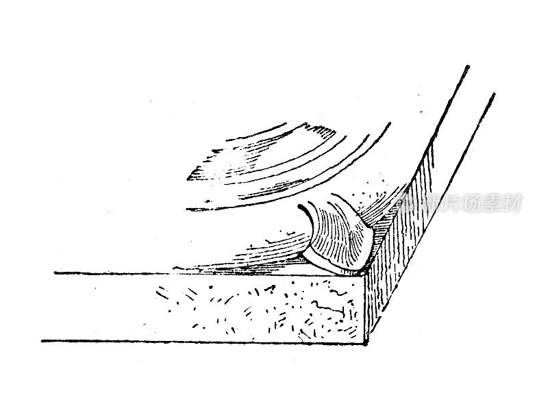 古董插画:马刺、爪(建筑)