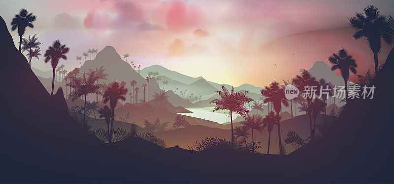 日落在热带，棕榈树下观赏