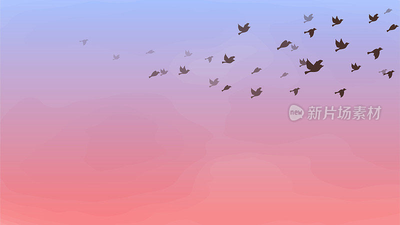 这是一幅背景插图，画的是一群鸟在清晨的天空中飞翔。