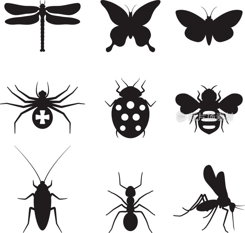 风格化的昆虫黑白版税免费矢量图标集