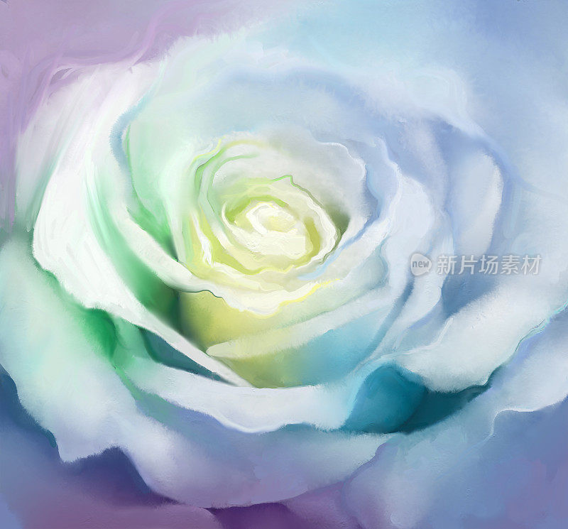 白色玫瑰花瓣的特写。油画的花
