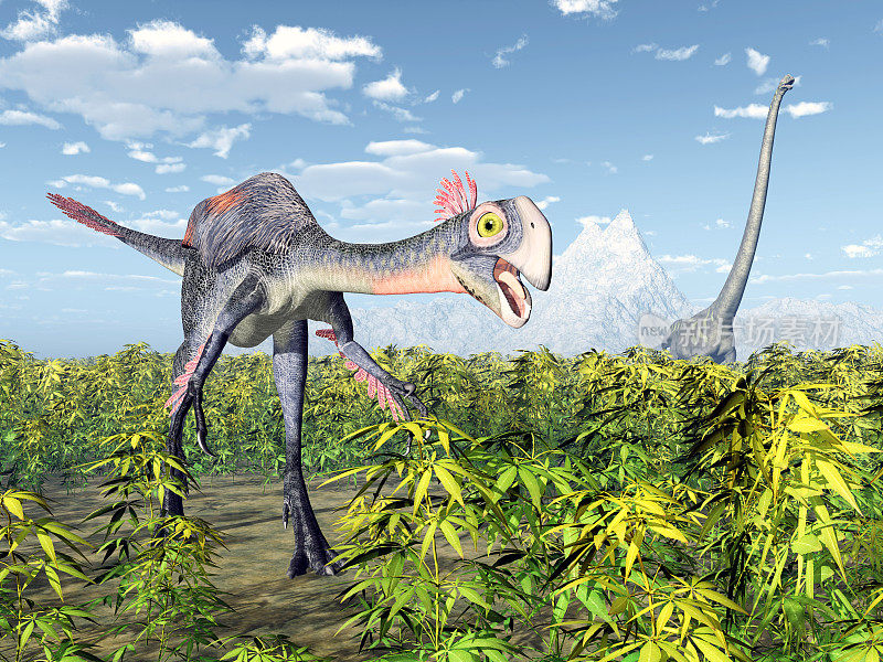Gigantoraptor和马门溪龙
