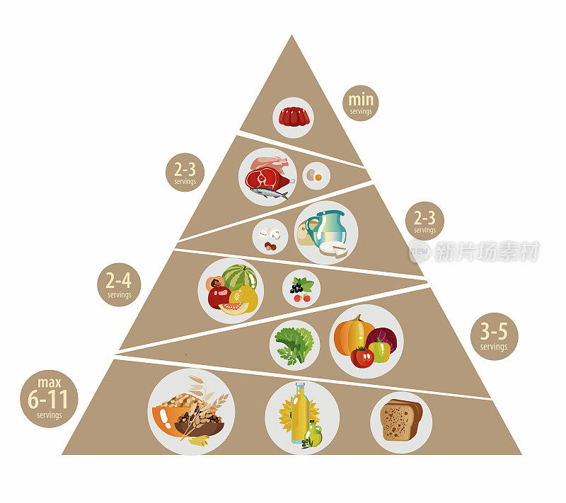由部门组成的食物金字塔