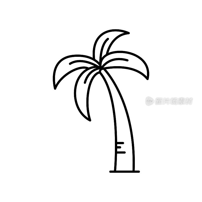棕榈树线条图标。
