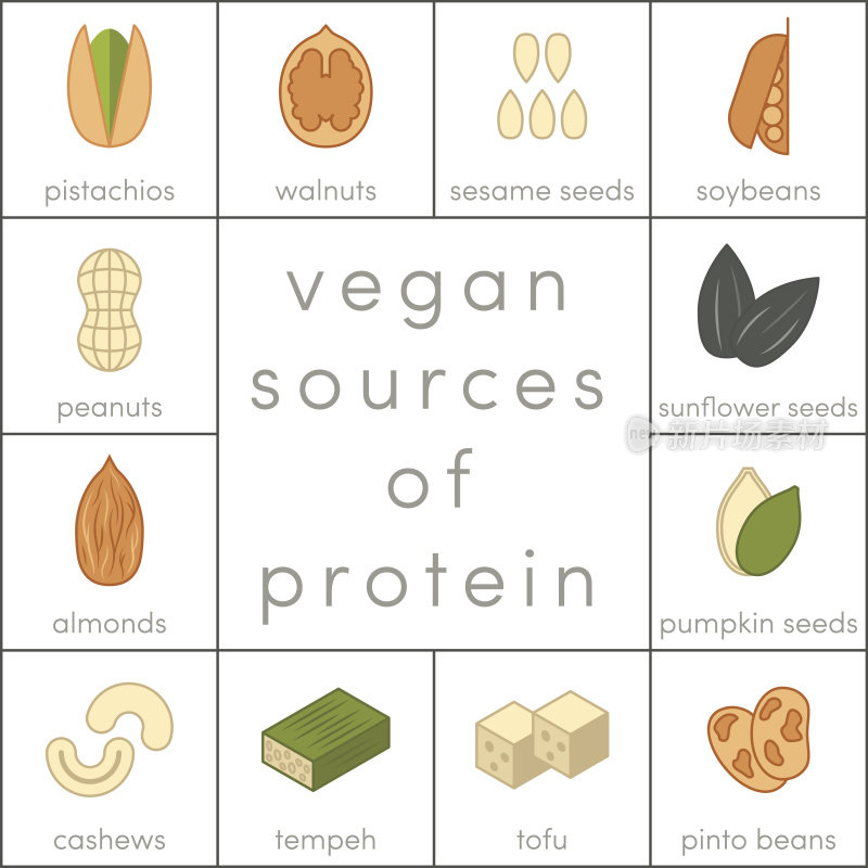 素食蛋白质来源