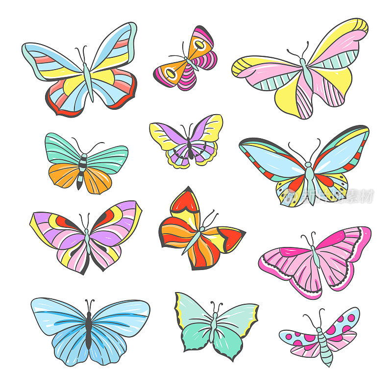 Butterfy集合。美丽的蝴蝶和昆虫手绘插图