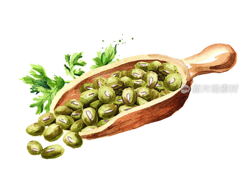一勺生绿豆。手绘水彩插图，孤立的白色背景
