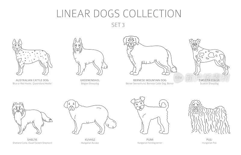 简单线狗收集孤立上白。狗的品种。平面样式剪贴集