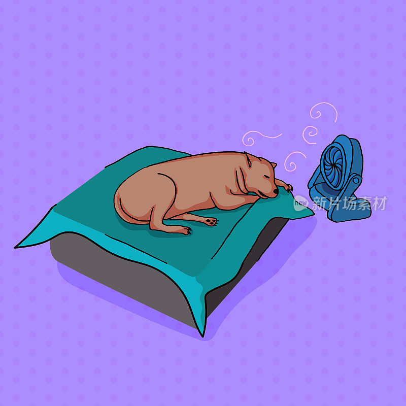 小狗睡在床上-小狗在做梦-便携式风扇在吹气