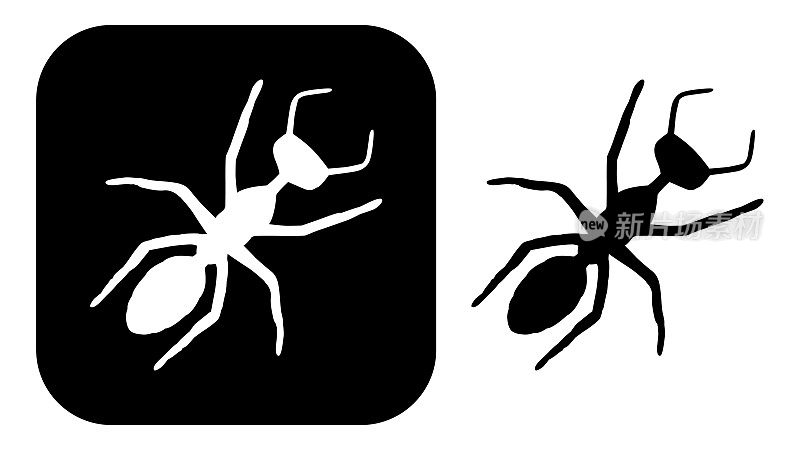黑色和白色的蚂蚁图标