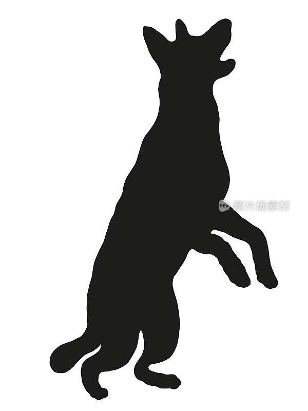 黑狗轮廓。德国牧羊犬小狗用后腿站立。宠物的动物。孤立在白色背景上。向量