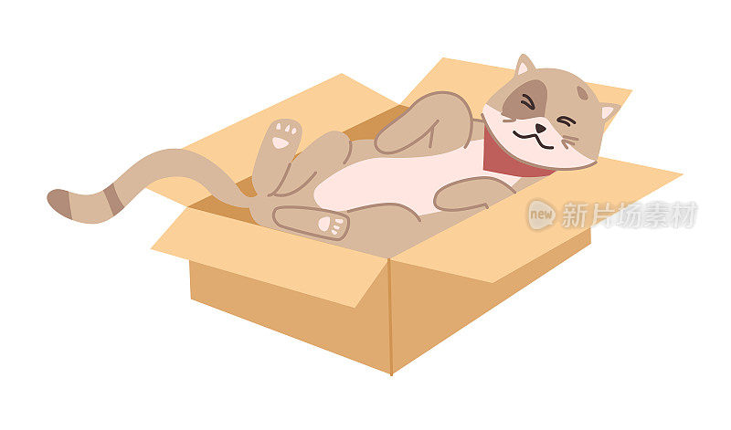 猫在纸箱里睡觉和休息，小猫的生活和习惯。孤立的小猫放松，宠物的日常活动和每天的活动，宠物画像。平面形式的矢量