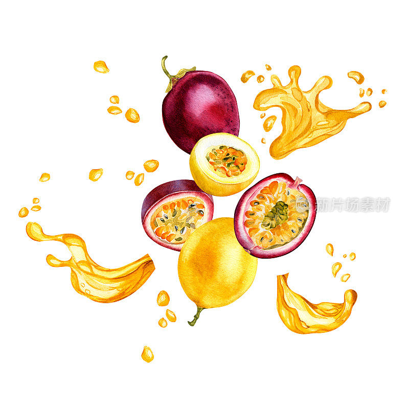 热带水果和果汁飞溅水彩插图孤立的白色背景。