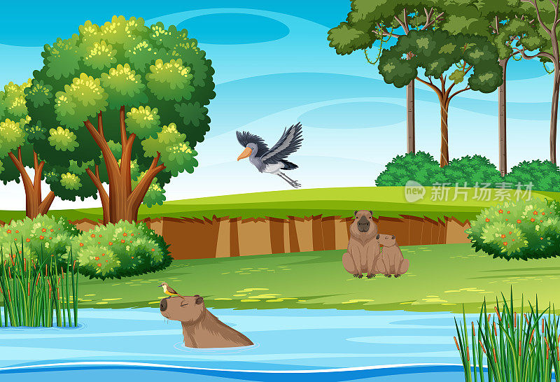 许多动物在河边