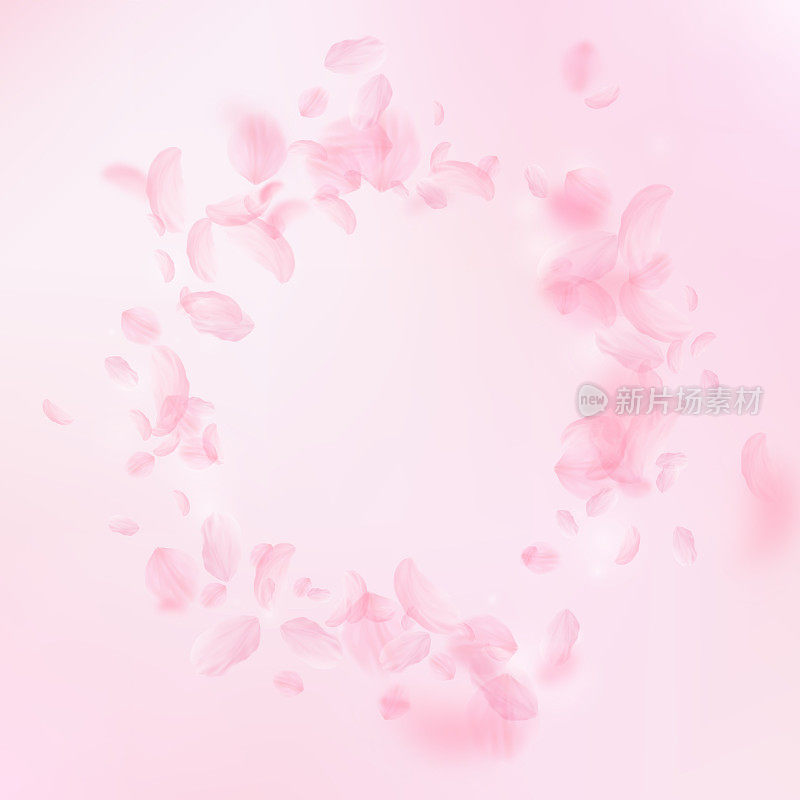 樱花花瓣飘落。浪漫的粉色花朵装饰。飞舞的花瓣在粉红色的方形背景上。爱情,浪漫的概念。神奇的婚礼邀请