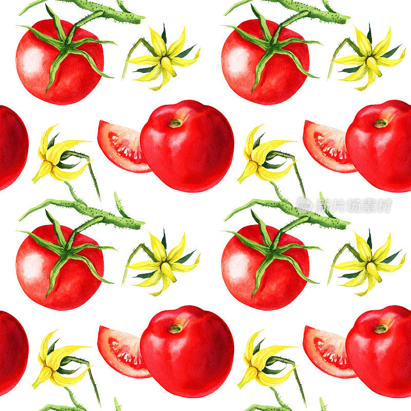 无缝水彩图案与番茄，花朵，早午餐，手绘插图，红色蔬菜素描