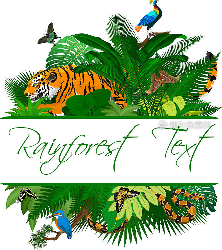 丛林雨林夏季热带树叶野生动物矢量设计与老虎，翠鸟，蟒蛇，mononal和蝴蝶