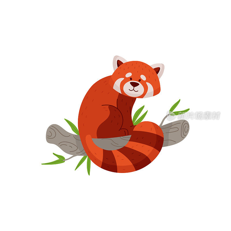 异域的中国红或较小的熊猫字符，平面矢量插图孤立。