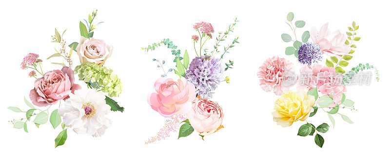 粉红玫瑰、绣球花、白牡丹、白玉兰、风信子、毛茛、春园花、桉树、绿叶