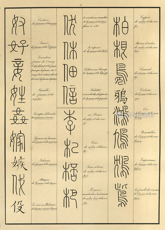 《中国早期文字实例古插图》，《世界古文献学》，J・B・西尔维斯特