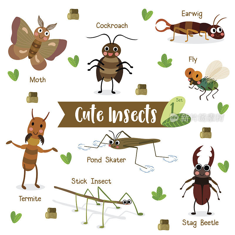 昆虫动物卡通与动物名称矢量插图。组1