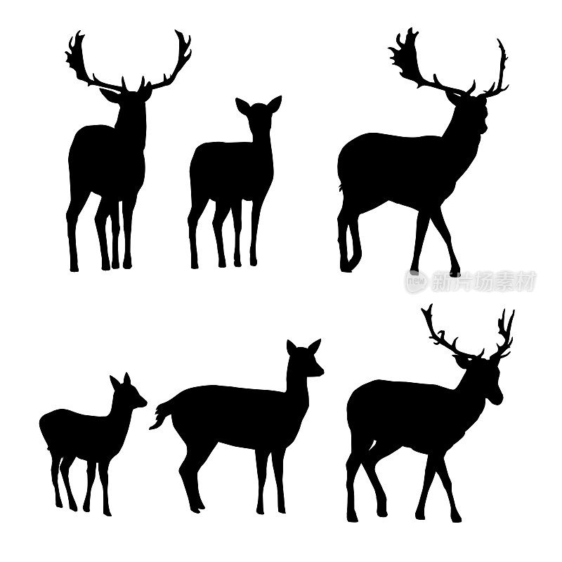 鹿和与小鹿孤立在白色背景上的休闲鹿的向量剪影的集合
