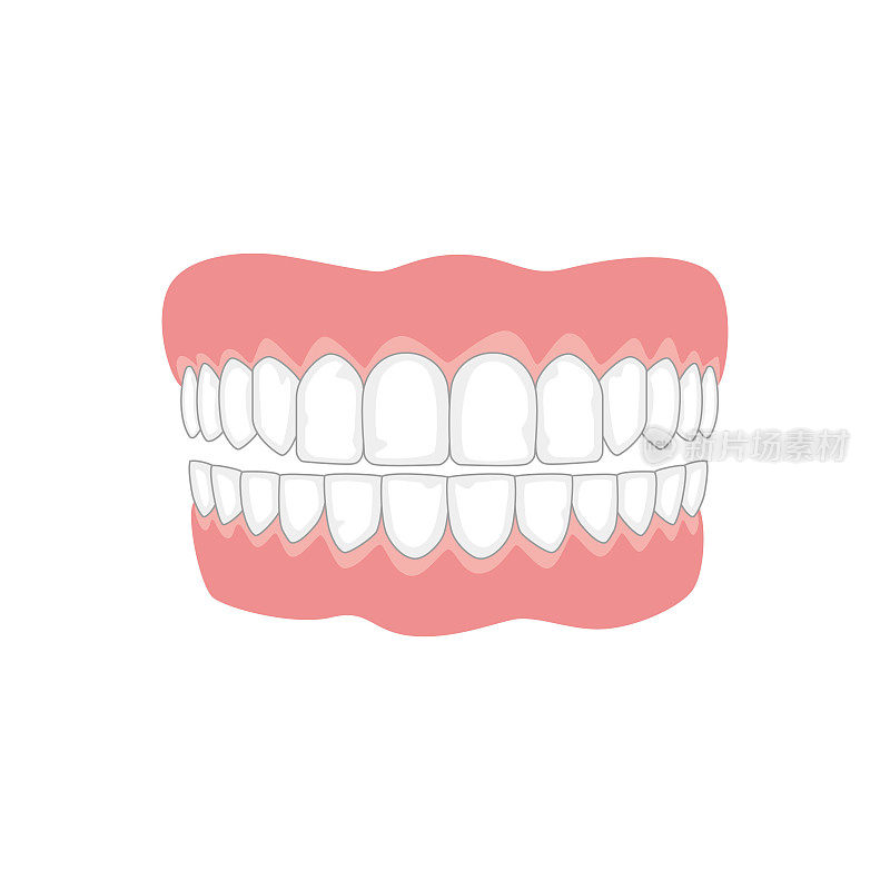 颚与牙齿上的白色背景，医学概念。