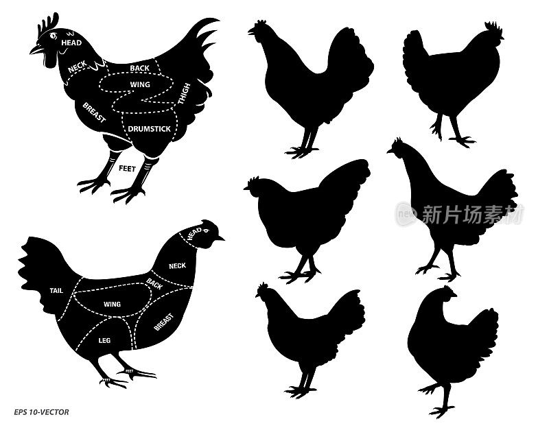 鸡的轮廓或屠夫的图表或部分母鸡屠夫的概念。