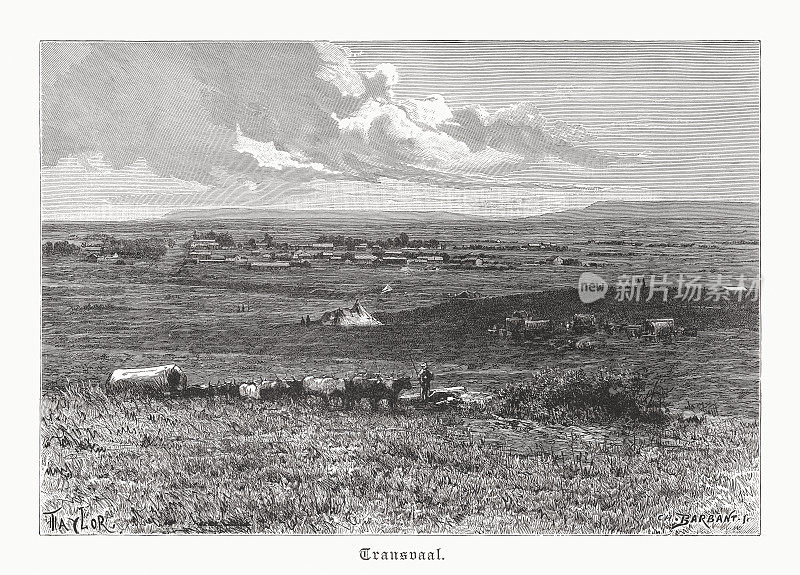 南非德兰士瓦的一个定居点，木刻，1891年出版