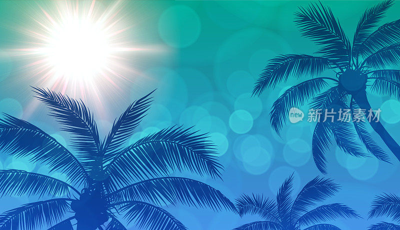 棕榈树和太阳蓝色背景
