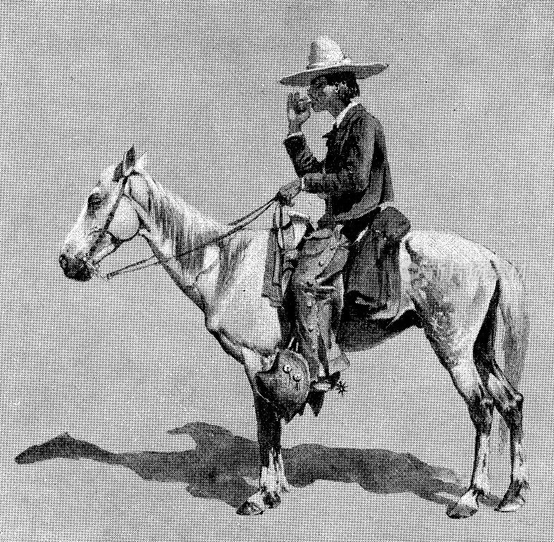 19世纪，美国德克萨斯州的墨西哥牛仔