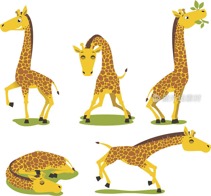长颈鹿站着吃着睡着跑着的动物主题集