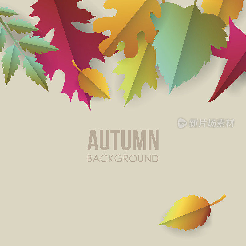 秋天的背景与纸的落叶