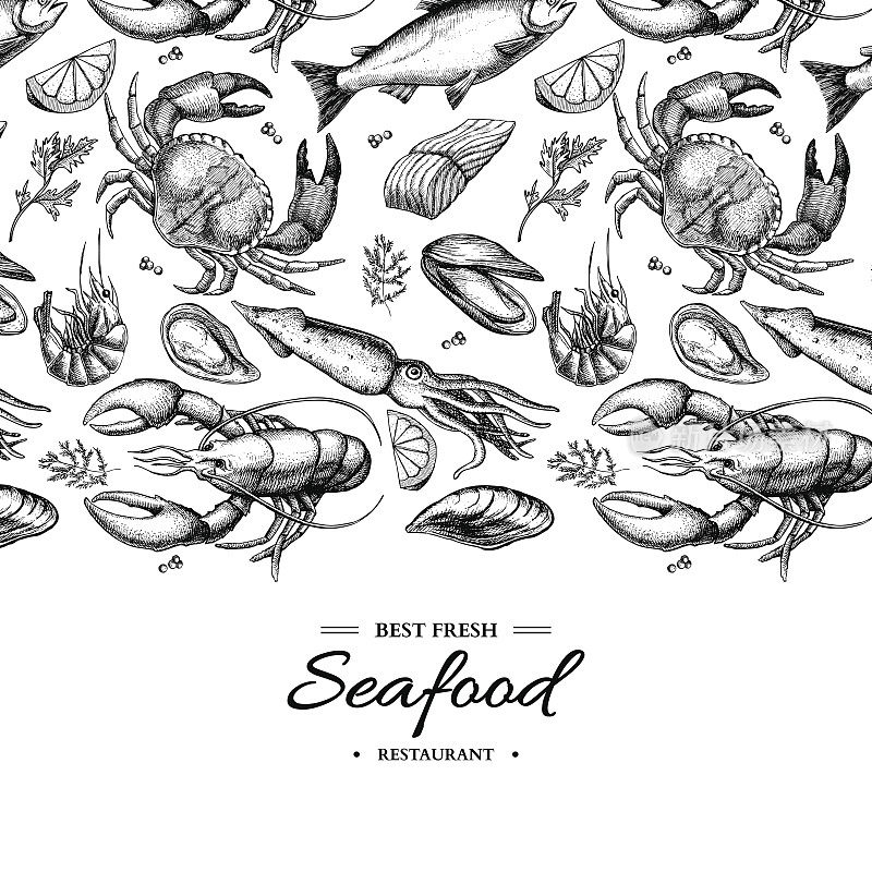 海产品手绘矢量框插图。蟹，龙虾，虾，牡蛎，贻贝，鱼子酱和鱿鱼。