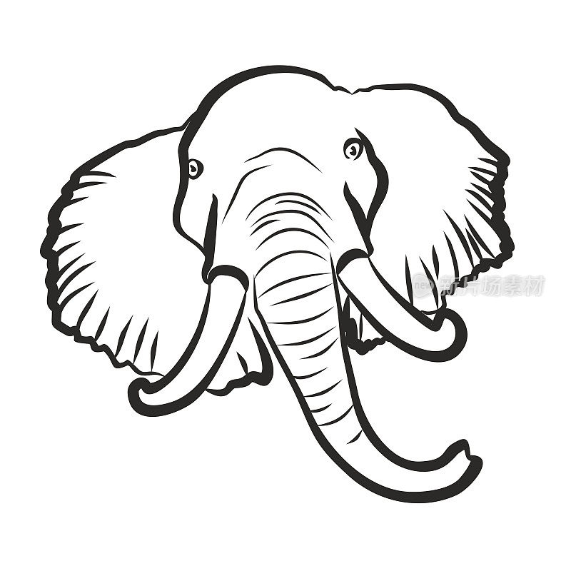 大象。