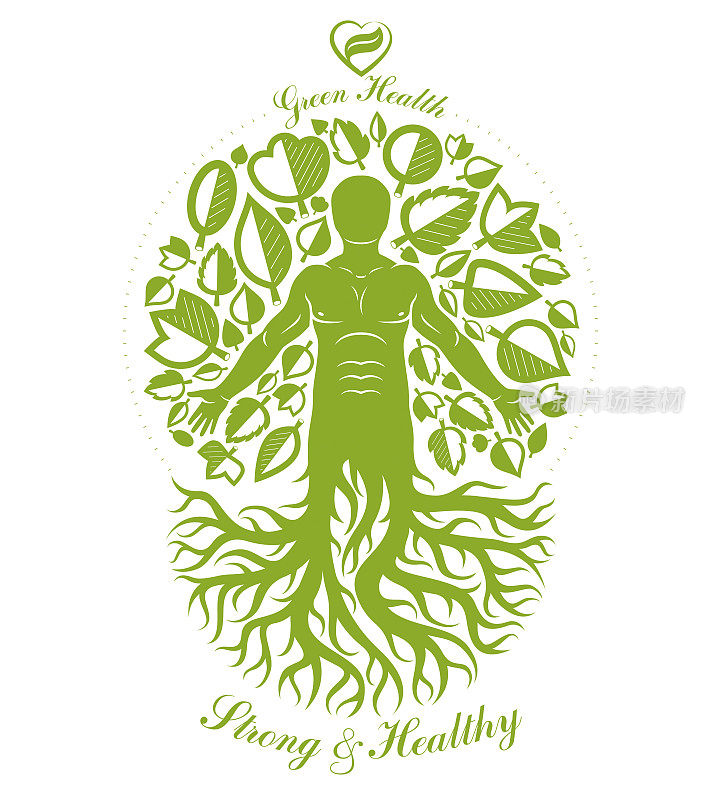 矢量插图的运动员描绘为延续树。强壮的心脏是健康的源泉，是健康中心的抽象。
