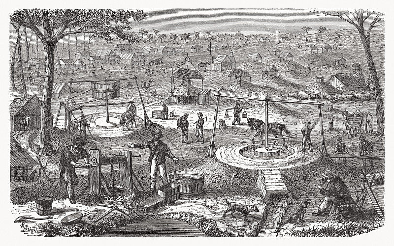 澳大利亚金矿，19世纪，木刻，1893年出版