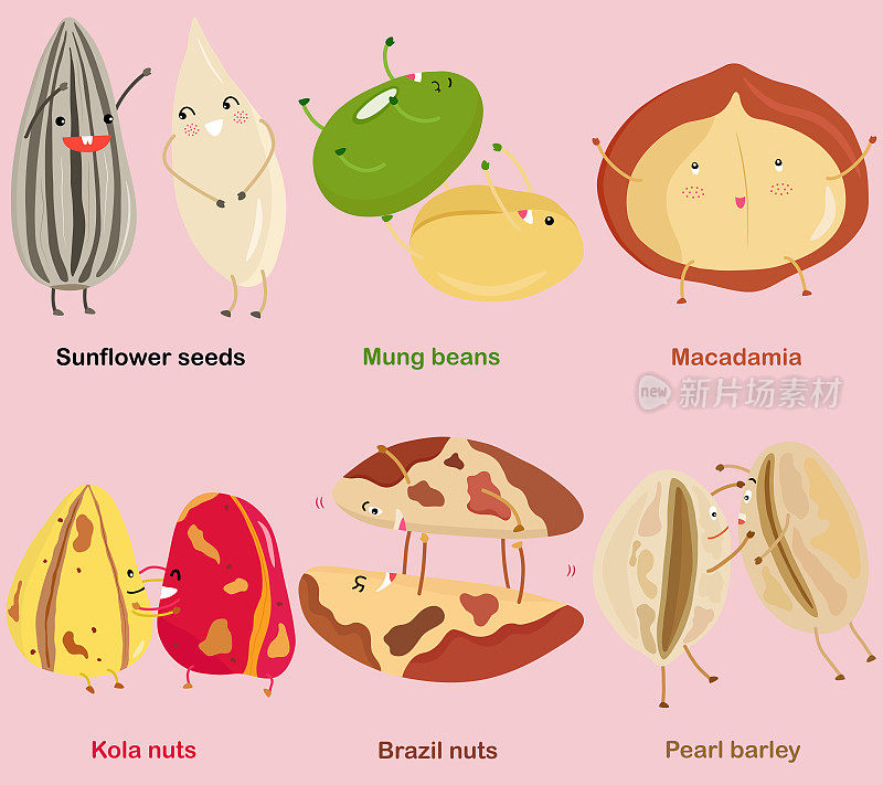 矢量豆，坚果，种子-葵花籽，绿豆，澳洲坚果，可拉坚果，巴西坚果，薏米。