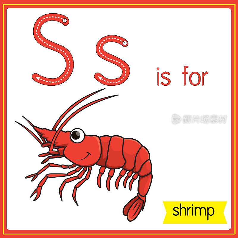 矢量插图学习字母为儿童与卡通形象。字母S代表虾。