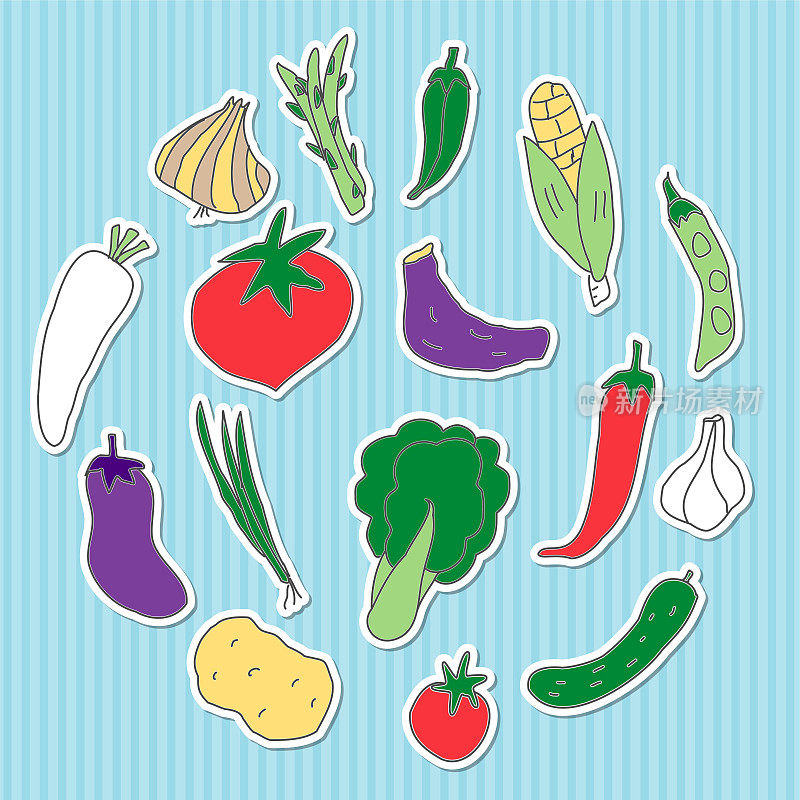 一套手绘的蔬菜插图