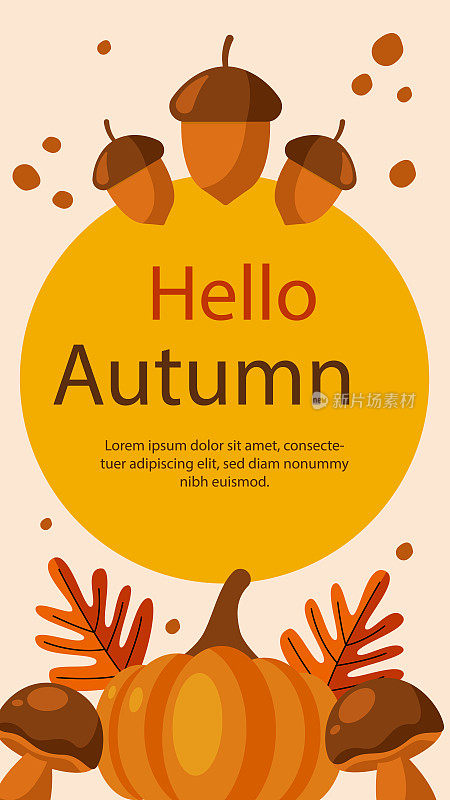 平面posts故事设置为秋季庆祝矢量插图。