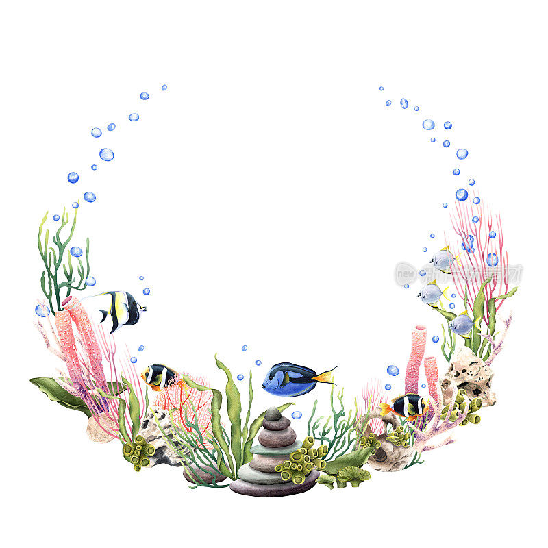 水彩花环与海洋珊瑚，植物和热带鱼。手绘水彩插图孤立在白色
