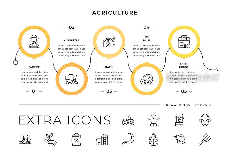 农业线图标和信息图表模板