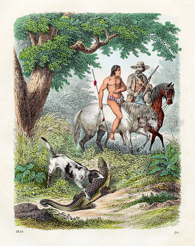 来自圭亚那的古老狩猎场景-来自1859年《世界之书》的非常罕见的盘子