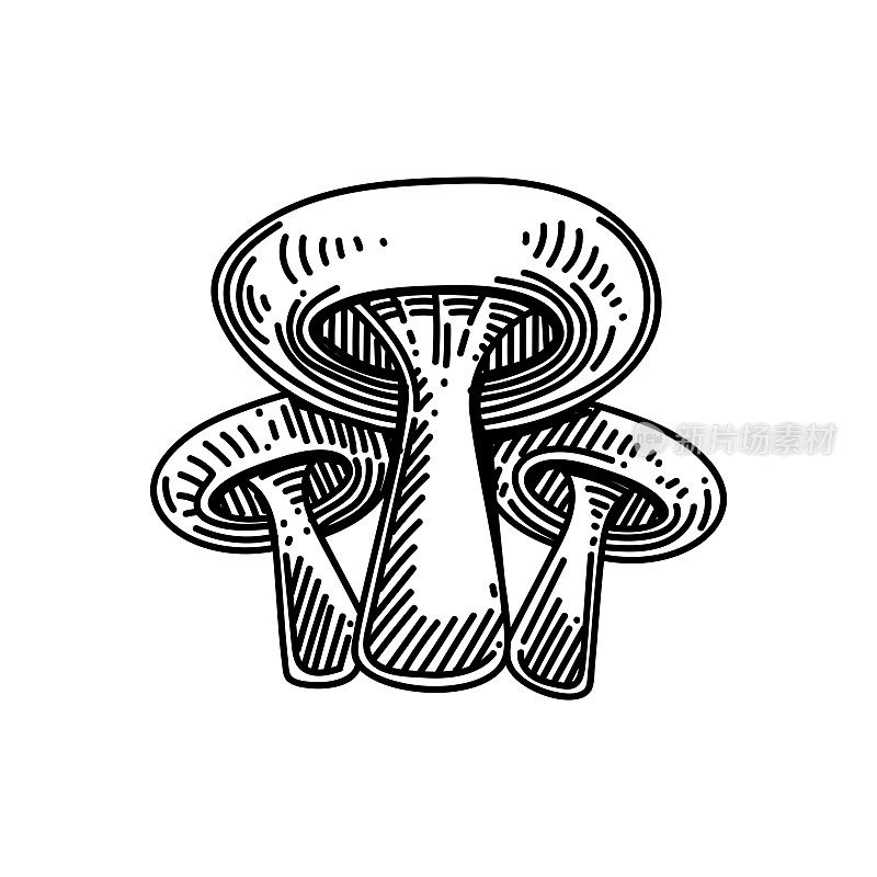 蘑菇线图标，草图设计，像素完美，可编辑笔触。标志、标志、符号。蔬菜，新鲜，有机，农业。
