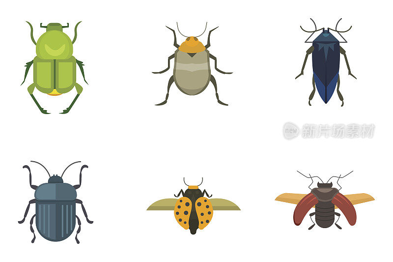 一组昆虫平面风格矢量设计图标。收藏自然甲虫和动物学卡通插图。Bug图标野生动物概念
