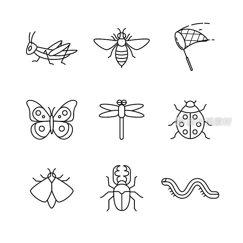昆虫细线艺术图标集