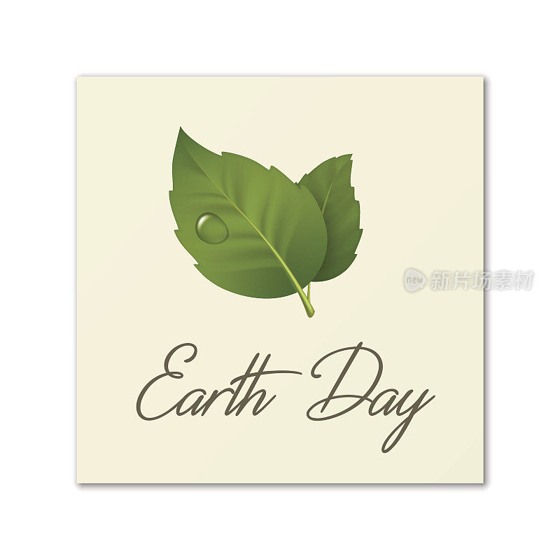 地球日，世界环境日，拯救地球或绿色日。矢量背景与叶对和露珠。EPS10中的生态概念
