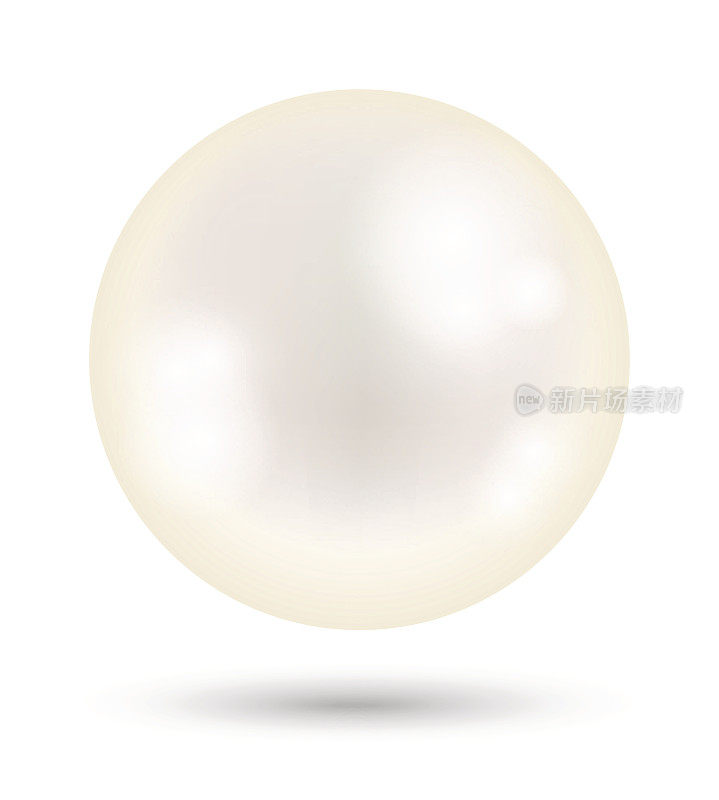 白色背景上的一颗白色的明珠