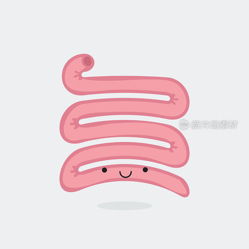 small-intestine-characters-04